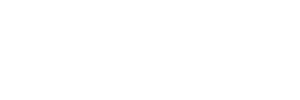 torch run